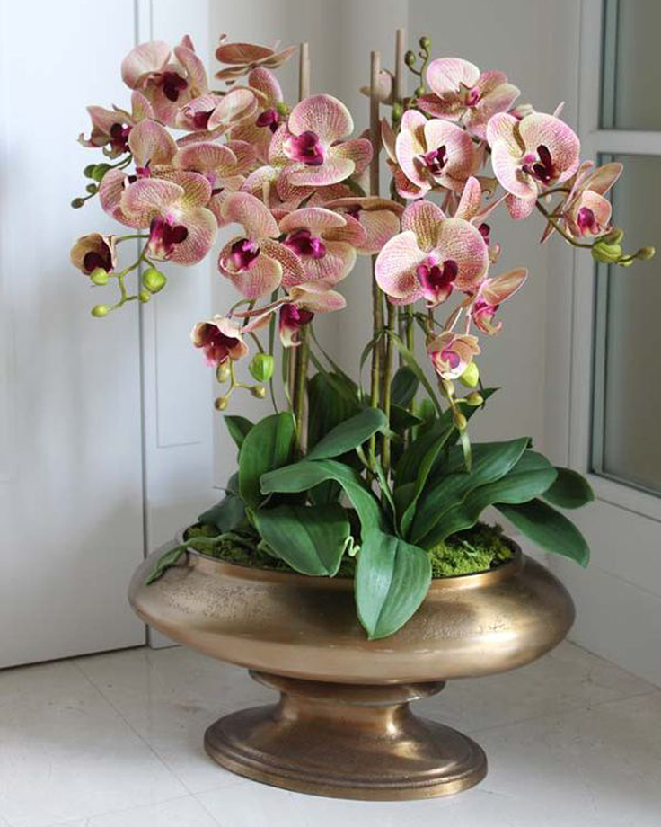 Pembe orkide yapay